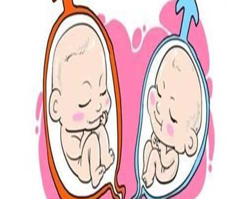 武汉试管婴儿助孕医院排名?,武汉私立助孕机构排名榜_优质代生服务