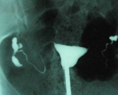 北京天子助孕地址,排名前十名北京试管助孕公司-试管代孕医院环境