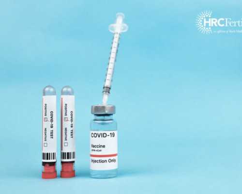 取卵第三天胚胎等级，上海同性代怀官网