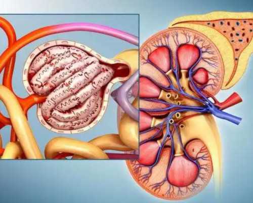 专业供卵试管,石家庄助孕微信群_试管助孕机构