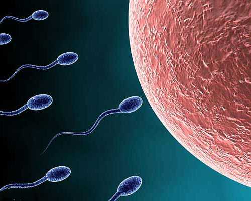 北京助孕中介怎么样,排名前十的北京试管助孕机构_代怀网费用问题