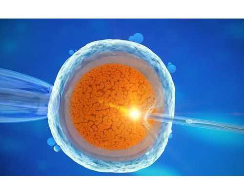 可以找供卵试管吗,石家庄助孕微信群_试管助孕机构