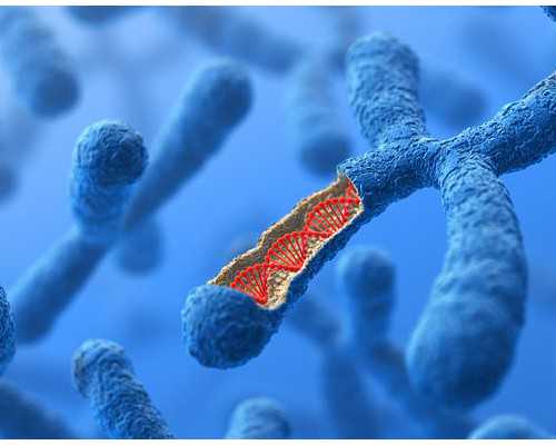 排名前十的北京试管助孕机构,北京三代试管助孕机构排名?_代生合法