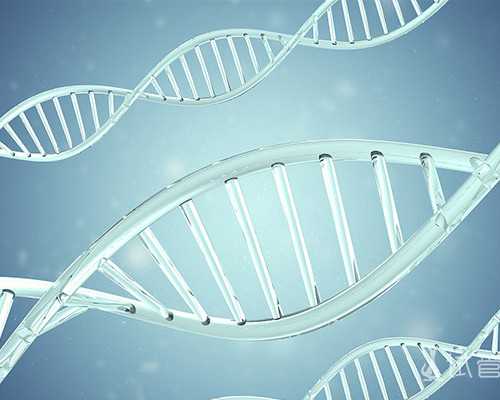 专业供卵试管生子机构,石家庄最大助孕公司_正规助孕网