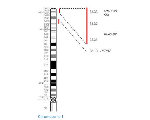 供卵助孕经验,兰州供卵试管-试管助孕生子助孕机构