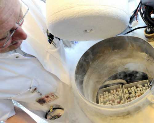 哪家医院供卵试管,辽宁三大助孕机构沈阳助孕医院