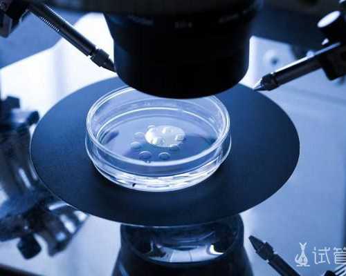 供卵代怀问题,黑龙江助孕机构哈尔滨助孕中介