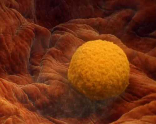 供卵试管排队吗,哈尔滨试管助孕公司_正规助孕中心