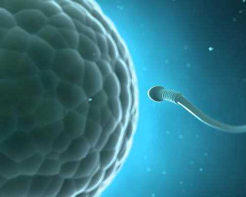 广州助孕机构排名榜,广州三大助孕公司坤和怎么联系_高龄试管代怀