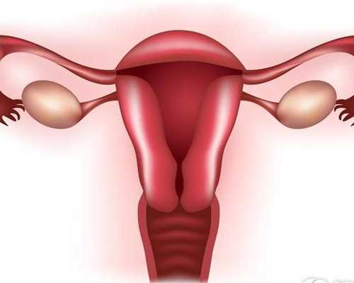 2026正规助孕机构哪家好?权威助孕中心分析男性不育_试管代孕医院的