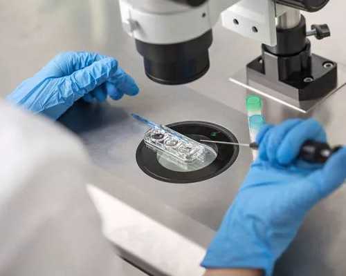 北京代怀宝宝包男孩费用多少钱？十五万够吗？