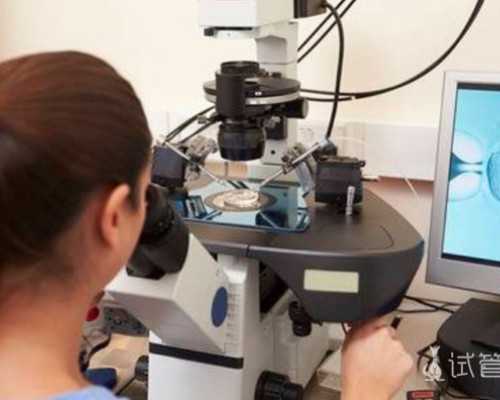 供卵试管价格排名,辽宁三大助孕机构沈阳助孕医院