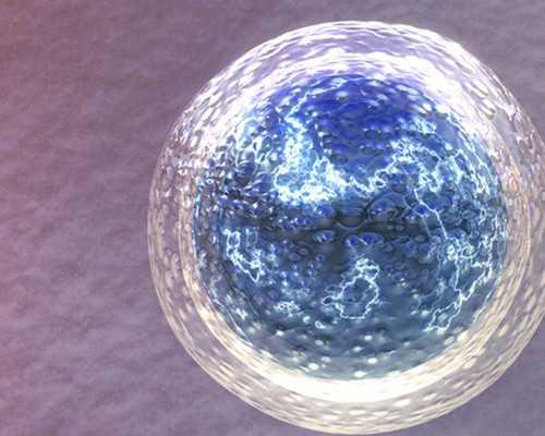 包头供卵试管代怀包儿子靠谱吗