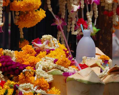 供卵试管机构排行榜,石家庄十大助孕机构-正规助孕网